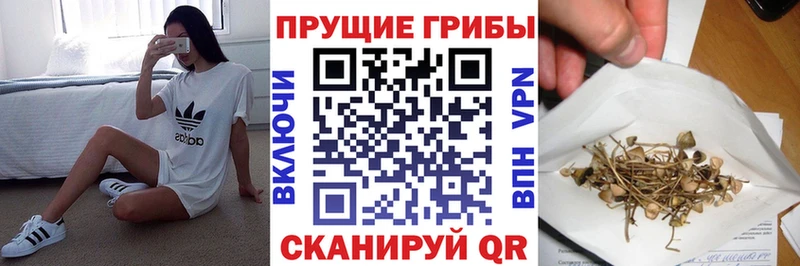 как найти закладки  Волгоград  Псилоцибиновые грибы мицелий 