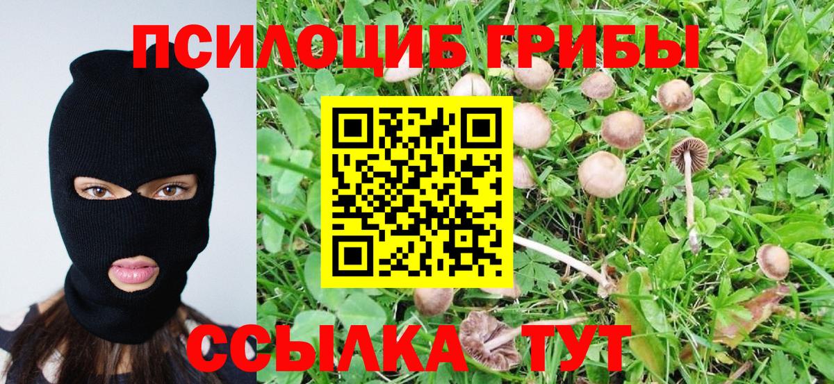 Псилоцибиновые грибы ЛСД  Галлюциногенные грибы Psilocybe  Волгоград  Вход с VPN 