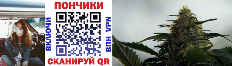 Конопля планчик Волгоград